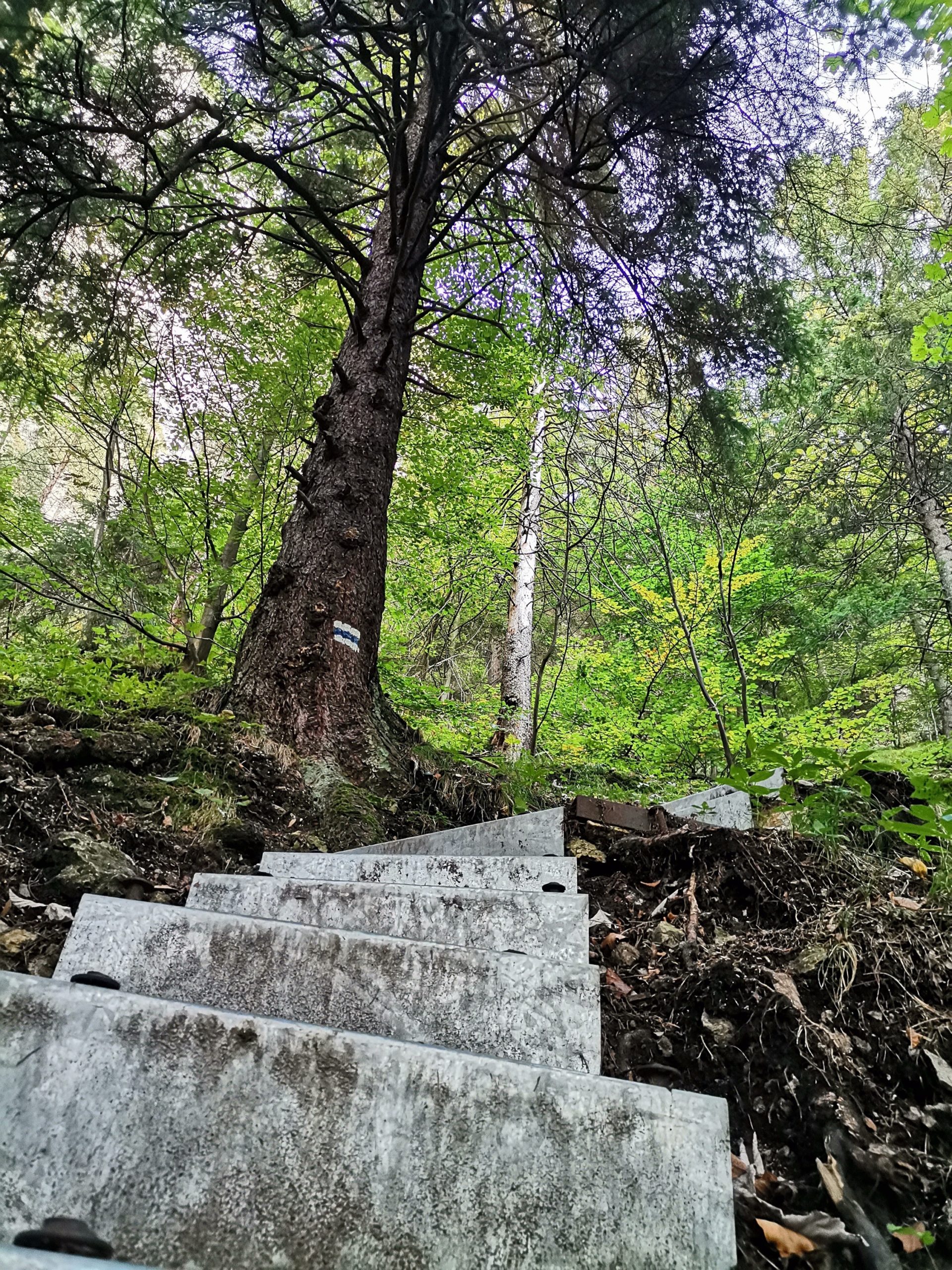 The Bandit’s Trail and Obšívanka Valley